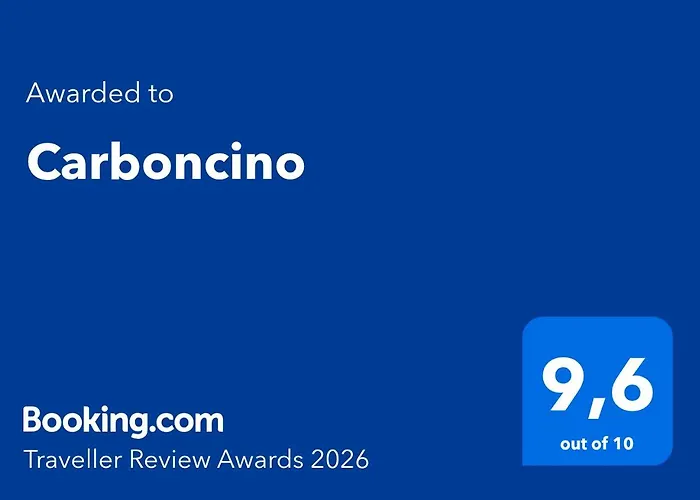 Carboncino