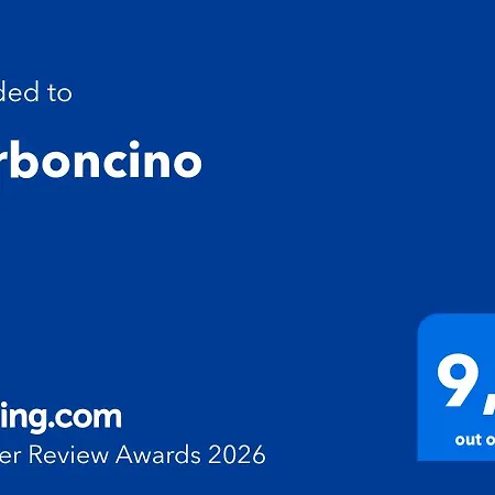 Carboncino